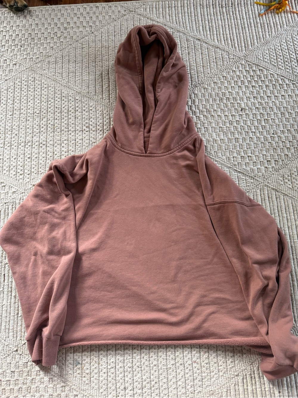 Abercrombie & Fitch Hoodie in Dusty Rose Pink